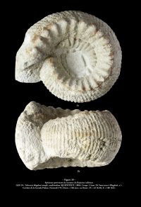 NANTEUIL FIG-39